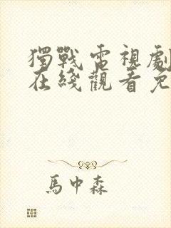 独战电视剧全集在线观看免费高清
