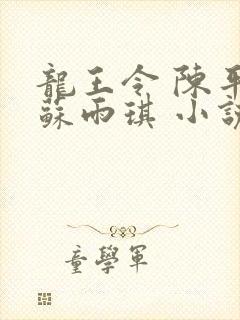 龙王令 陈平,苏雨琪 小说