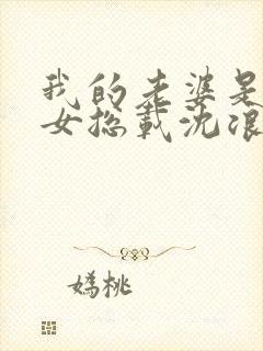 我的老婆是冰山女总载沈浪