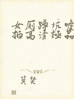 女厕蹲坑嘘嘘偷拍高清极品