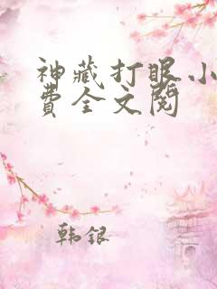 神藏打眼小说免费全文阅