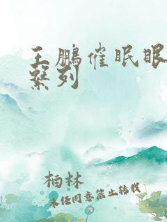 王鹏催眠眼镜之系列 王鹏催眠眼镜之系列