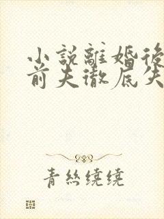 小说离婚后豪门前夫彻底失了控好看么