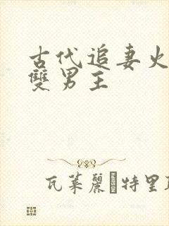 古代追妻火葬场双男主