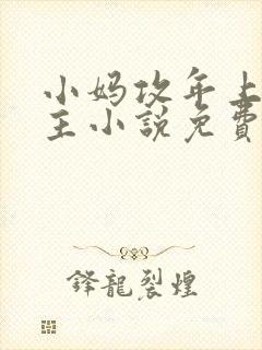 小妈攻年上双男主小说免费阅读