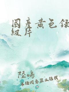 国产黄色录像一级片