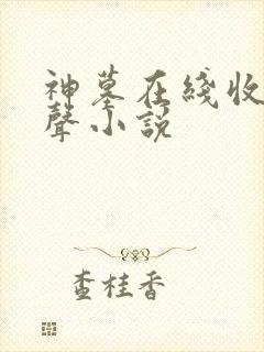 神墓在线收听有声小说