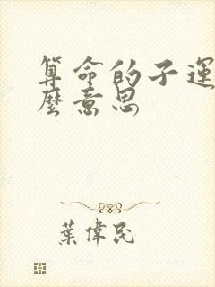 算命的子运是什么意思