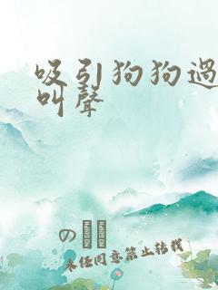 吸引狗狗过来的叫声