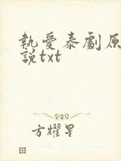 执爱泰剧原著小说txt