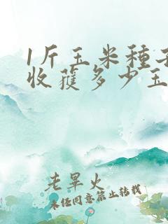 1斤玉米种子能收获多少玉米