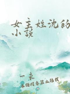 女主姓沈的古代小说