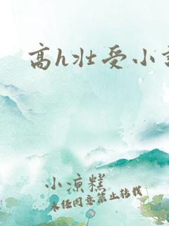 高h壮受小说