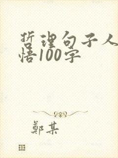 哲理句子人生感悟100字