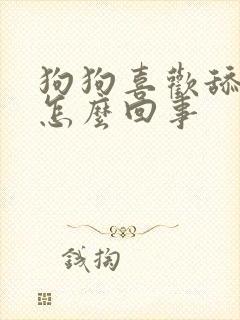 狗狗喜欢舔人是怎么回事