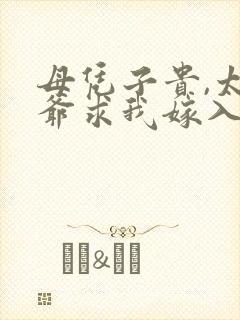 母凭子贵,太子爷求我嫁入豪门