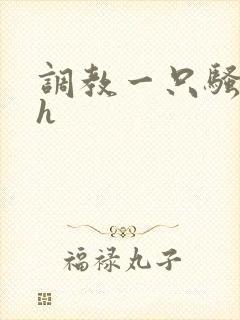 调教一只骚母狗h