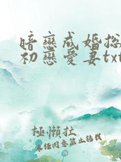 暗恋成婚总裁的初恋爱妻txt下载