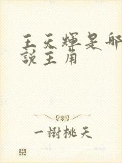 王天辉是哪部小说主角