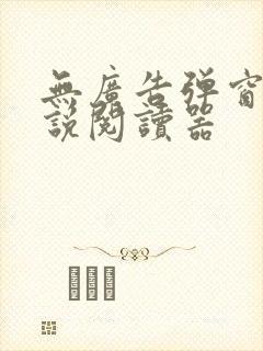 无广告弹窗的小说阅读器