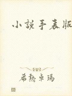 小说手表版