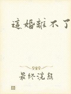 这婚离不了小说