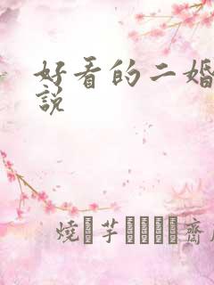 好看的二婚文小说