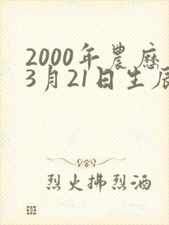 2000年农历3月21日生辰八字