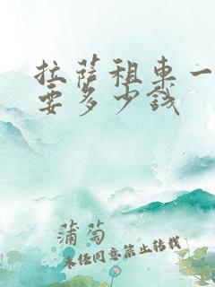 拉萨租车一天需要多少钱