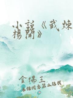 小说《武炼巅峰杨开》