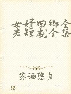 女婿回乡全村风光短剧全集结局