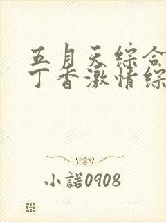 五月天综合婷婷丁香激情综合婷婷丁香