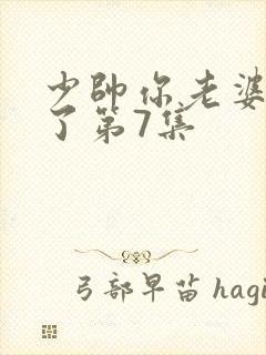 少帅你老婆又跑了第7集