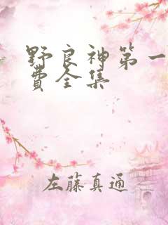 野良神第一季免费全集
