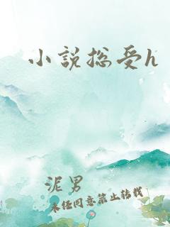 小说总受h