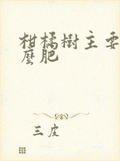 柑橘树主要用什么肥