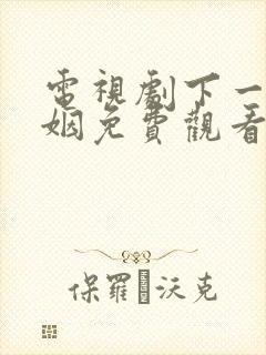 电视剧下一站婚姻免费观看完整版