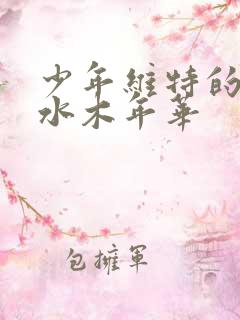 少年维特的烦恼水木年华