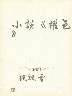 小说《权色风流》