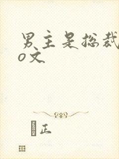 男主是总裁的po文