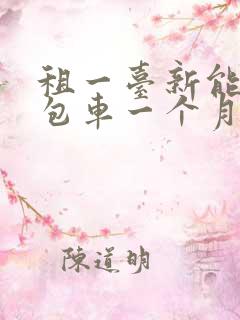 租一台新能源面包车一个月要多少钱