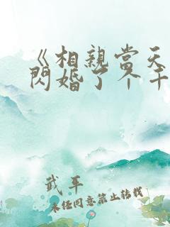 《相亲当天:我闪婚了个千亿富翁》