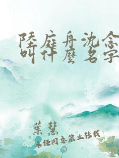 陆庭舟沈念小说叫什么名字