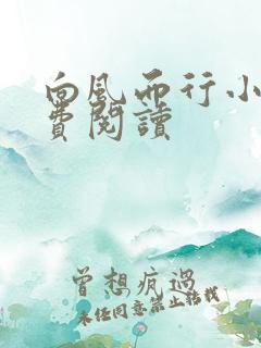 向风而行小说免费阅读