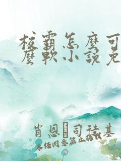 校霸怎么可以这么软小说免费阅读