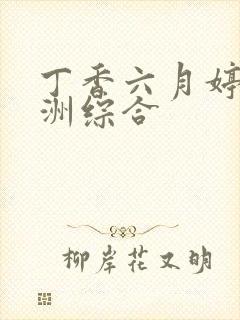 丁香六月婷婷亚洲综合