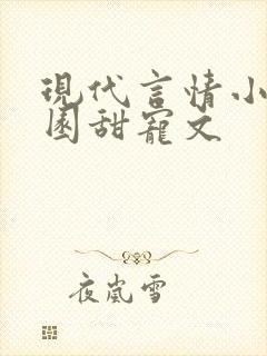 现代言情小说校园甜宠文