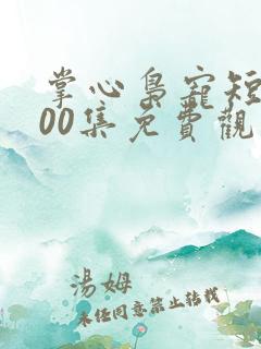 掌心枭宠短剧100集免费观看