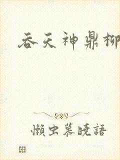 吞天神鼎柳无邪