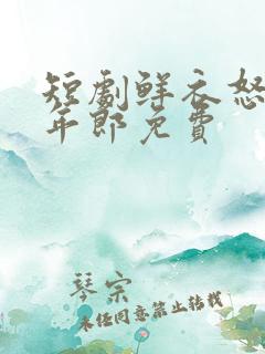 短剧鲜衣怒马少年郎免费